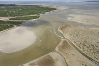 Estuaire de la baie de Somme et sa végétation de schorre (Laurent Mignaux, Terra)