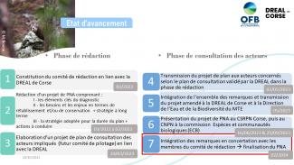 Calendrier d'avancement de la rédaction du plan national d'actions en faveur du Mouflon de Corse au 11/09/2023 (OFB)