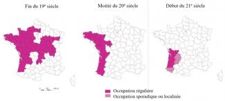 Évolution de l'aire de répartition du Vison d’Europe (Mustela lutreola) en France (d’après Bellefroid & Rosoux 1998, Maizeret et al. 2002)