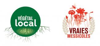 Logos_Vegetal-Local_Vraies-Messicoles