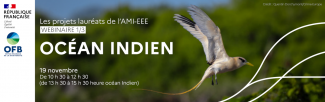 Cycle-webinaires-AMI-EEE-2024_1-Ocean-indien_visuel-bandeau.png