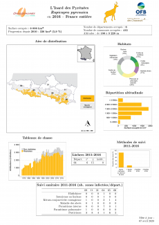 Synthèse du suivi de l'Isard en France (2016 actualisé en 2020, réseau Ongulés sauvages, OFB)
