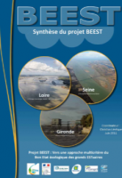 Synthèse du projet BEEST