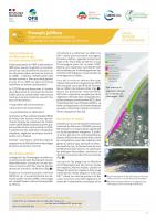 Couverture du retour d'expériences Prosopis juliflora - Expérimentations de dévitalisation sur la plage de Cap Champagne (La Réunion) (OFB, 2024)