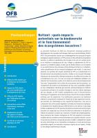 Couverture Photovoltaïque flottant : quels impacts potentiels sur la biodiversité et le fonctionnement des écosystèmes lacustres ? (Comprendre pour agir, OFB, 2025)