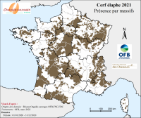 Carte de présence par massif du Cerf élaphe en 2021 (présence dans toute la France métropolitaine)