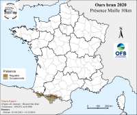 OursBrun_04_map_presence_maille2019_OFB-ROB