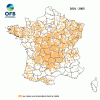Répartition nationale de la Martre et son évolution par maille 10x10km (2001-2005, 2006-2011 et 2012-2017, OFB)