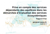 rapport BRGM services ecosystemiques ESO