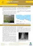 Couverture de l'Écho des tanières n°65, juin 2025, réseau Ours brun, OFB